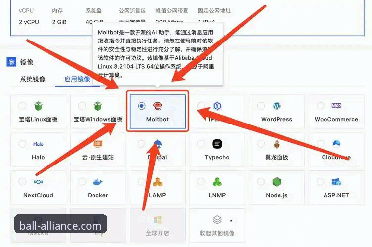 球盟会官方平台App下载与使用实用指南